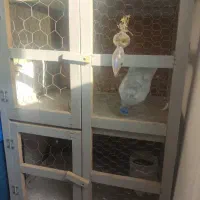 جفت کنی