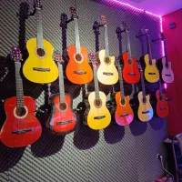 گیتارهای مبتدی و حرفه ای