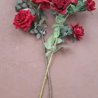 گل رز ،مصنوعی|گل مصنوعی|اشتهارد, |دیوار