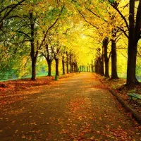 همسفربرای طبیعت گردی