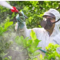 هرسکاریدرختانوسمپاشی|خدمات باغبانی و درختکاری|اردبیل, |دیوار