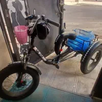 سه چرخه بزرگسال