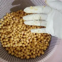 فلافل خانگی درست میکنم