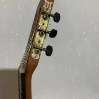 گیتار پارسی مدل M3|گیتار، بیس، امپلیفایر|شیراز, شهرک فرهنگیان|دیوار