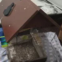 فروش قفس پرنده