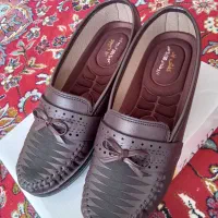 کفش نو|کیف، کفش، کمربند|آبدانان, |دیوار