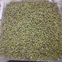 ماش ریز  درجه یک بوجار شده