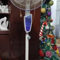 پنکه|پنکه و تصفیهکنندهٔ هوا|رشت, کوی بیانی|دیوار