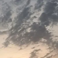 نوشیدنی انگور