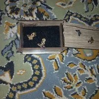 گوشواره طرح پروانه