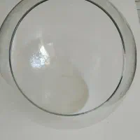 تنگ ماهی