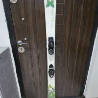 چوب اسکی الپاین