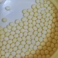 حلزون آچاتینا