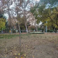 خانه دار جهت هتل