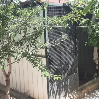 کانکس برای نگهداری مرغ و خروس و سگ|لوازم جانبی حیوانات|نوشین شهر, |دیوار