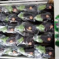 بسته بندی صیفیجات|استخدام خدمات فروشگاه و رستوران|یزد, |دیوار