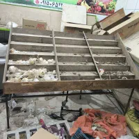 میز میوه فروشی و تره بار|فروشگاه و مغازه|زاوه, |دیوار