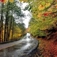 فروش یک دستگاه وانت نیسان