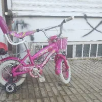 اصلی سایز ۱۲