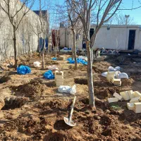 باغ بانی درخت کاری گل کاری کدباغچه  چمن کاری