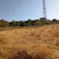 زمین در روستای زیبای تاج آبادسفلی|فروش زمین و ملک کلنگی|بهار, |دیوار