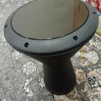 تمپو استیلی