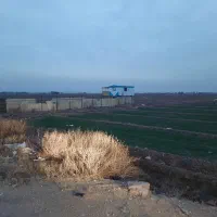 زمین-کشاورزی-بهر-جاده-اصلی-الوند