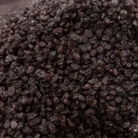 کشمش آفتابی پلویی پاک شده|خوردنی و آشامیدنی|بناب, |دیوار