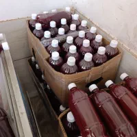 آب زرشک خراسان جنوبی قاینات زیرکوه