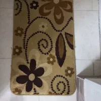 فریز فروشی تخفیفی همراه بادوپادری|فرش|آران و بیدگل, |دیوار