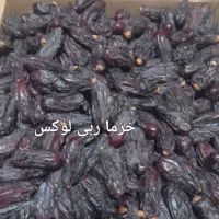 خرما مضافتی زاهدی پیارم کبکاب|عمدهفروشی|تهران, چیتگر شمالی|دیوار