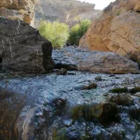 طبیعت گر