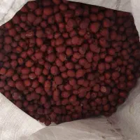 عناب خشک امسالی|خوردنی و آشامیدنی|مشهد, شهرک مهر آباد|دیوار
