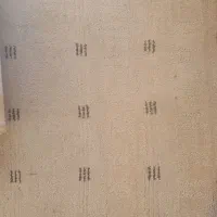 موکت