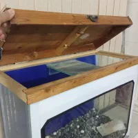 اکواریوم شیشه ۸میل|ماهی|یزد, |دیوار