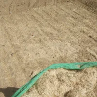 کاه گندم درجه یک یک تحویل