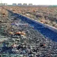 زمین-فاز-6-اندیشه-فیش-کارکنان-شهرداری