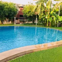 نگهبان ۲۴ ساعته