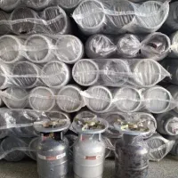 پیکنیک 5 کیلویی پرشده با سری روشنایی اشانتیون