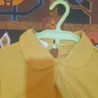 شومیز عروسکی دخترانه|لباس|گرگان, |دیوار