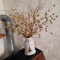 تعدادی لوازم خانه درحدنو