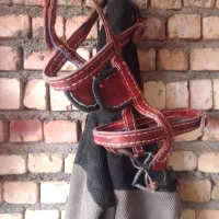 اسب وکالسکه