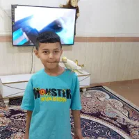 گم شده پرنده عروس پاریس
