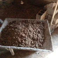 فروش کود غاز