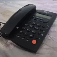 دو عدد تلفن رومیزی|تلفن رومیزی|قرچک, مهدیه|دیوار