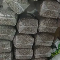 پخش تخمه ایرانی خارجی|خوردنی و آشامیدنی|کرج, میدان میوه و تره بار مرکزی|دیوار