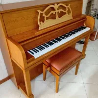 پیانو آگوستیک همیلتون