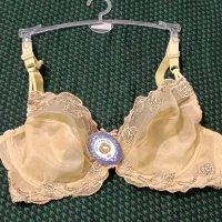 لباس زیر|لباس|ورامین, خیر آباد|دیوار