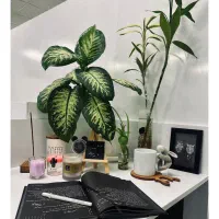 جذب ۳ منشی خانم در شرق تهران