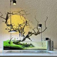 ساخت و دیزاین آکواریوم|ماهی|بندرعباس, |دیوار